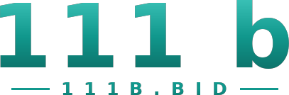 111 b logo